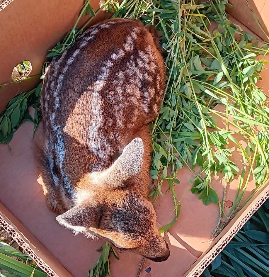 drohnenservice-mueller-38